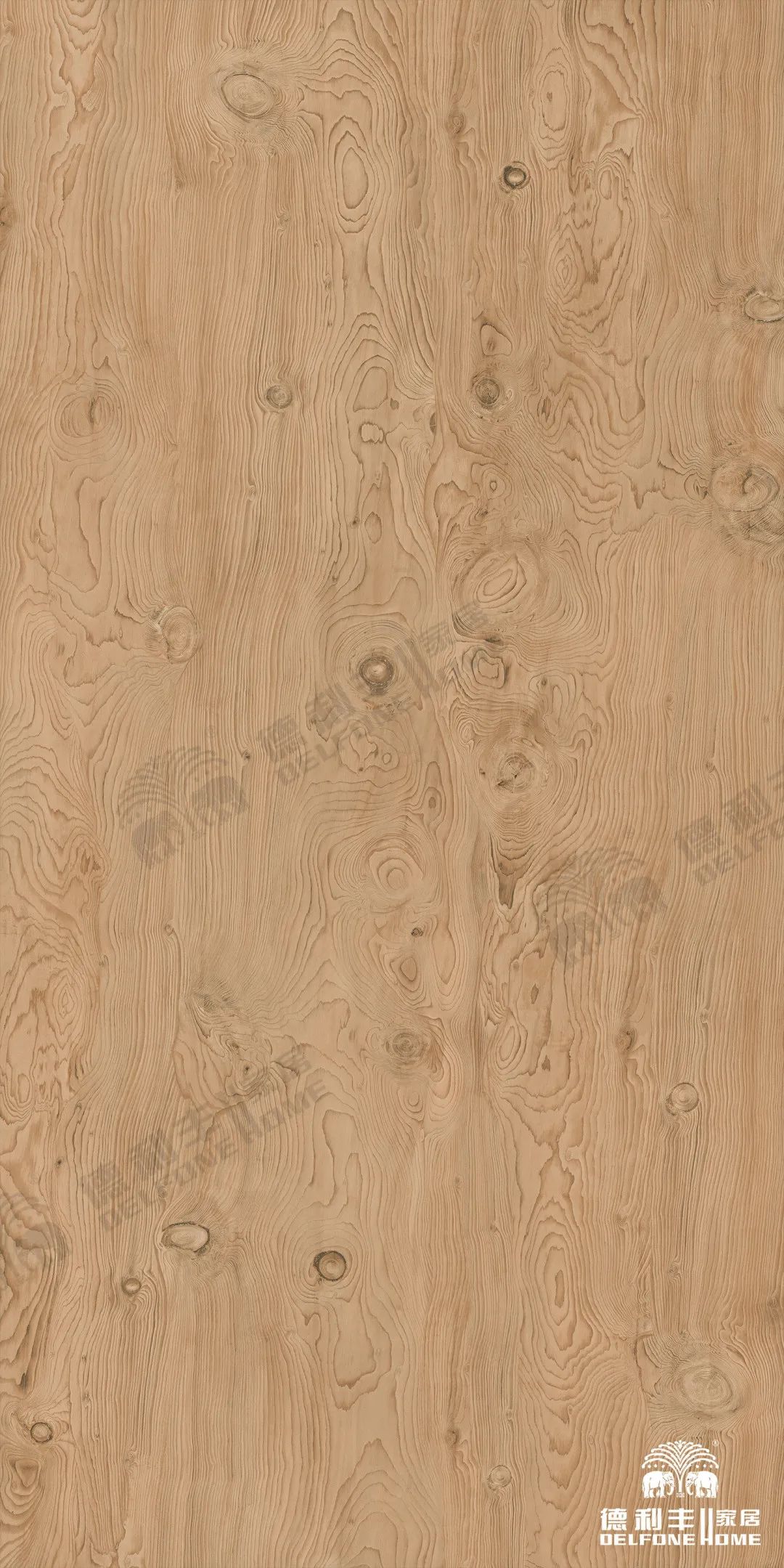 【3.12植樹節】|| 木紋系列——把自然氣息帶回家(圖4)