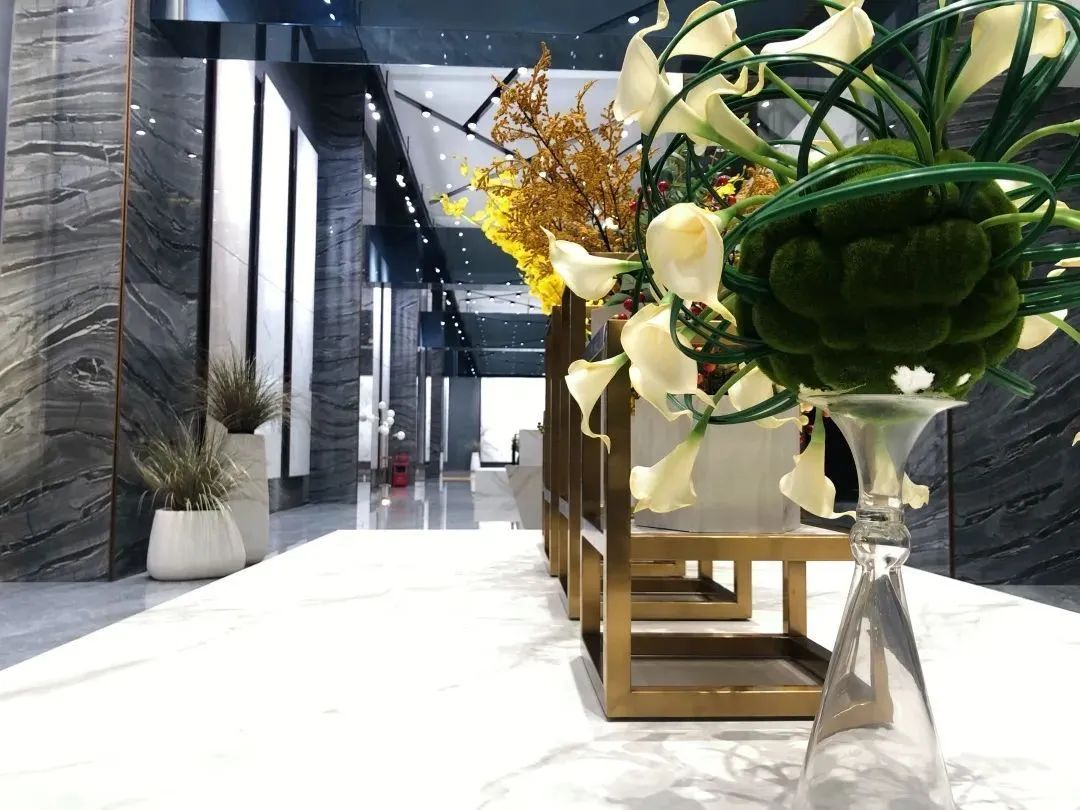 禪城區府辦副主任赴德利豐家居開展調研工作(圖1) 禪城區府辦副主任赴德利豐家居開展調研工作(圖1)