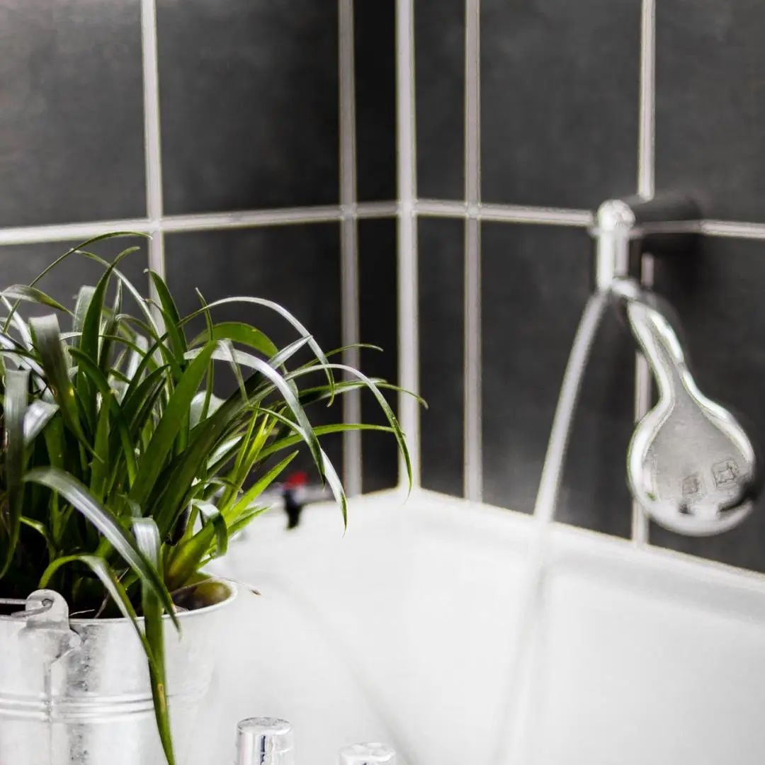 德利豐，＂?。⒁妿r板之美 體驗不一樣的衛浴輕奢范兒(圖18)