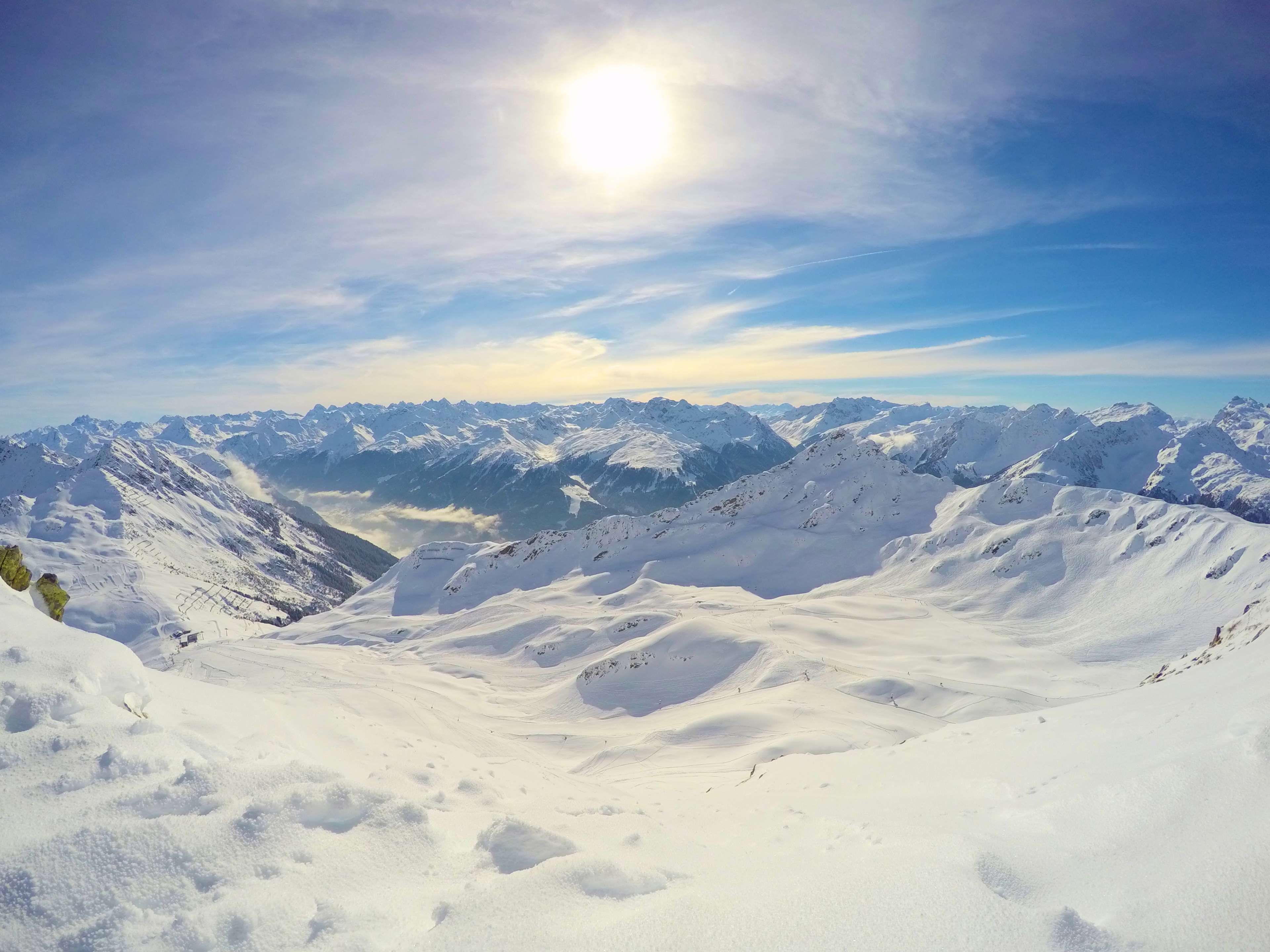 DELFONE新品 | 細線白，無暇中展現家居的生機盎然(圖1)