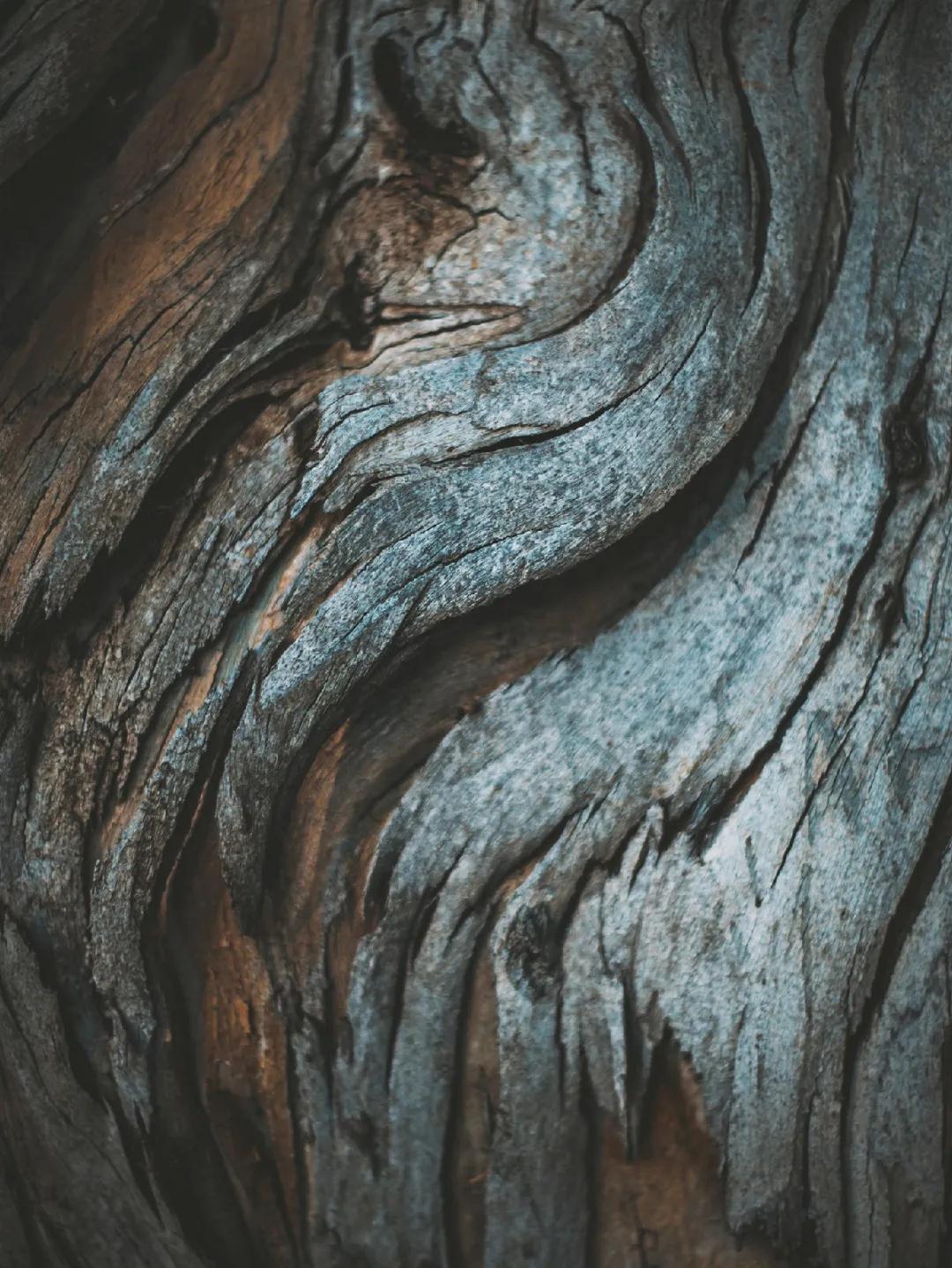 德利豐跨年特輯|跨越2020，2021再攀高峰！(圖1)