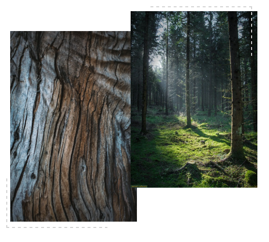 德利豐跨年特輯|跨越2020，2021再攀高峰！(圖6)