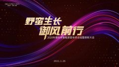 野蠻生長(zhǎng) 御風(fēng)而行