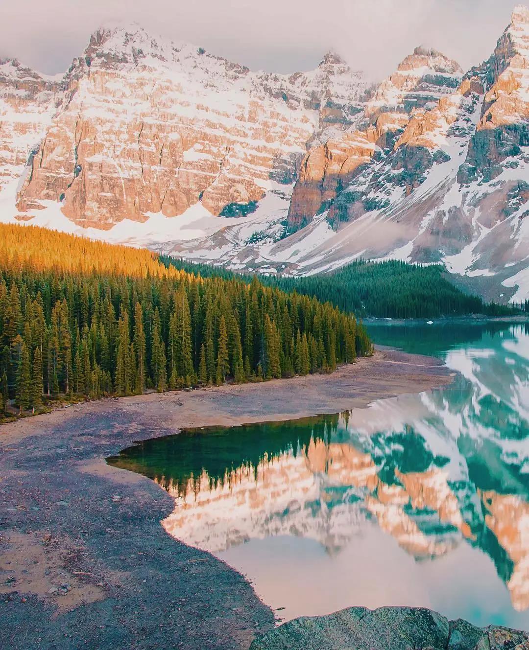 DELFONE新品 | 卡比亞金棕石、卡比亞石紋灰鑄就高端的質感居所(圖1)