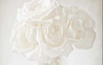 極光白全新升級｜多種工藝多個規(guī)格，釋放質(zhì)感張力！(圖3)