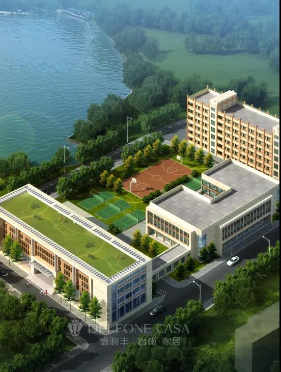 榮譽加冕 | 德利豐斬獲“巖板十大品牌”(圖8)