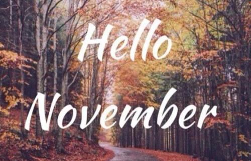 1分鐘,回顧德利豐11月大事記!!