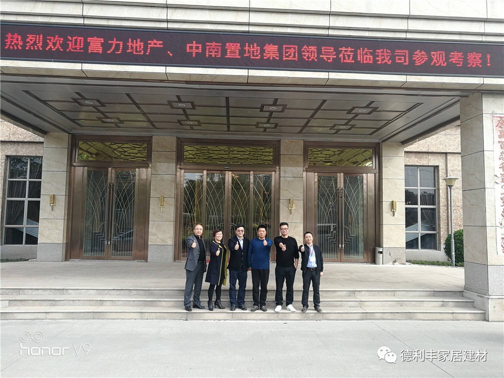 【重磅】百強房企：富力地產、中南置地一行領(圖2)