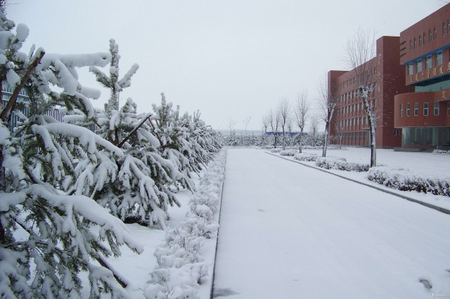 大雪入冬,這邊卻刮起了“火熱風(fēng)暴”(圖3) 大雪入冬,這邊卻刮起了“火熱風(fēng)暴”(圖3)