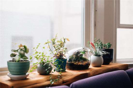 80、90后，別再將就生活啦！(圖7)