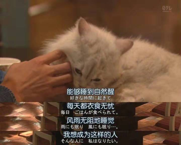 80、90后，別再將就生活啦！(圖12)