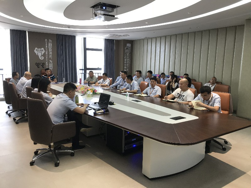 未來已來，全速向前——德利豐家居年中總結會(圖1)