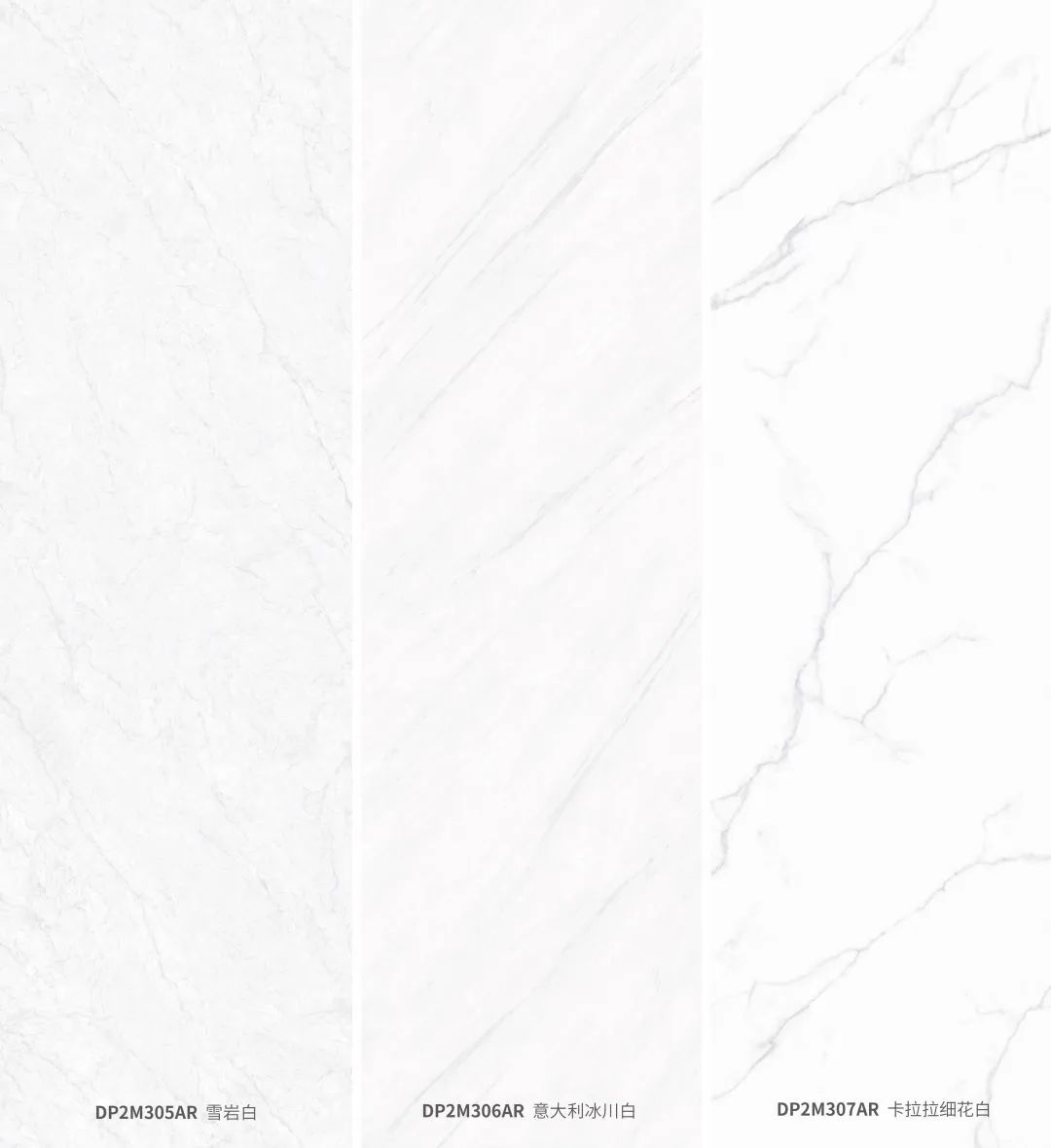 鉚足干勁 實干篤行 | 德利豐品牌3月大事記(圖4) 圖片