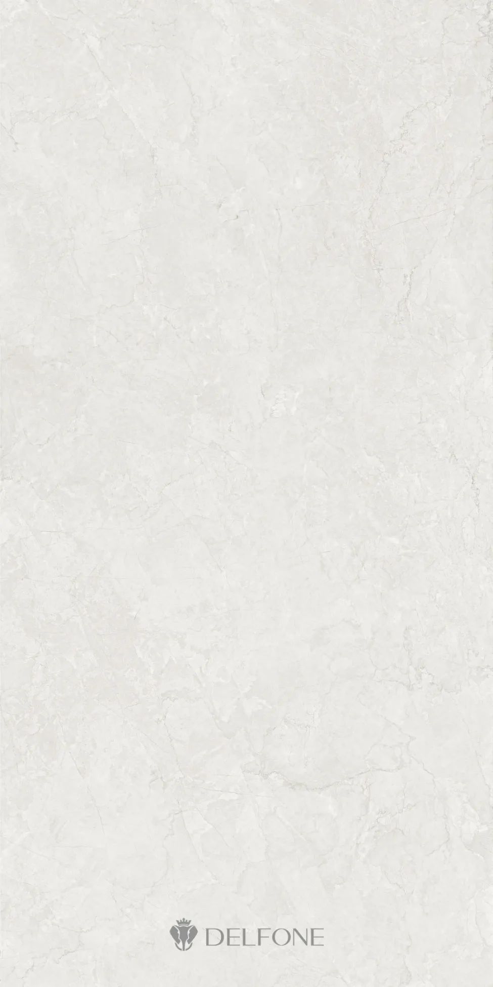 900X1800X12MM德利豐新品 | 專為地面而生,一步一格調(圖4) 圖片